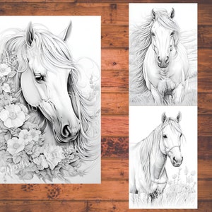 May include: Three black and white line drawings of horses. The first image shows a horse's head and neck with flowers around it. The second image shows a horse running with its mane flowing in the wind. The third image shows a horse standing in a field of grass.