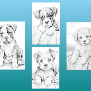 以下が含まれることがあります： 子犬の白黒の絵が4つあります。最初の犬はブルドッグ、2番目はボクサー、3番目はプードル、4番目はヨークシャーテリアです。それぞれの犬は毛布の上に座っています。