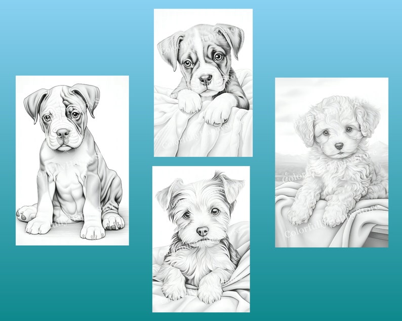 以下が含まれることがあります： 子犬の白黒の絵が4つあります。最初の犬はブルドッグ、2番目はボクサー、3番目はプードル、4番目はヨークシャーテリアです。それぞれの犬は毛布の上に座っています。