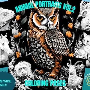 May include: A set of coloring pages featuring animal portraits. The images include a horse, owl, fox, goat, monkey, and iguana. The title of the set is "Animal Portraits Vol 2 Coloring Pages".