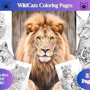 Wildlife realistic coloring pages of wild cats, grayscale coloring book, adult coloring lions, Tigers, cougars, bobcats, printable download