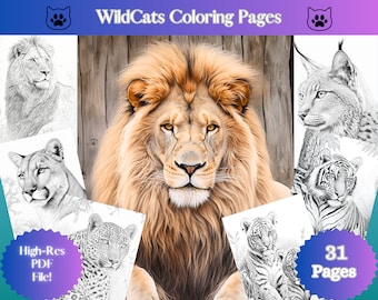 Wildlife realistic coloring pages of wild cats, grayscale coloring book, adult coloring lions, Tigers, cougars, bobcats, printable download