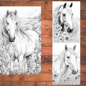 May include: Three black and white line drawings of horses. The first horse is standing in a field of flowers. The second horse is surrounded by flowers. The third horse is standing in a field with mountains in the background.