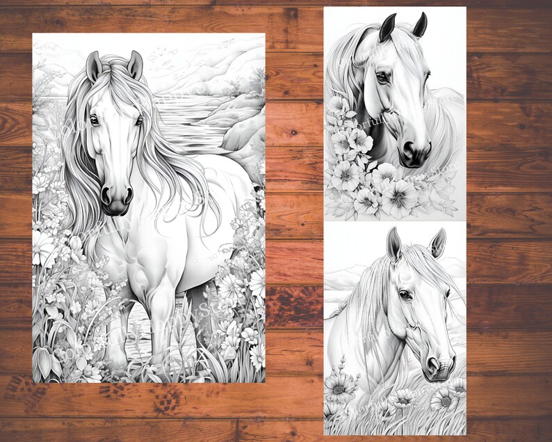 May include: Three black and white line drawings of horses. The first horse is standing in a field of flowers. The second horse is surrounded by flowers. The third horse is standing in a field with mountains in the background.