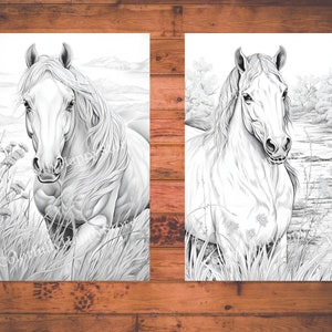 May include: A black and white line drawing of a horse standing in a field of tall grass. The horse has a long mane and tail. The background is a blurry image of a field and trees.