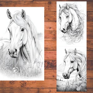 May include: Three black and white line drawings of horses' heads. The first horse is looking to the left, the second horse is looking to the right, and the third horse is looking straight ahead. All three horses have long manes and tails.