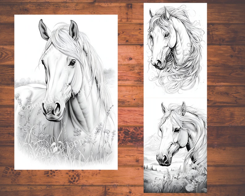 May include: Three black and white line drawings of horses' heads. The first horse is looking to the left, the second horse is looking to the right, and the third horse is looking straight ahead. All three horses have long manes and tails.
