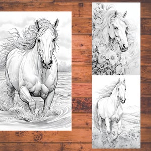 May include: Three black and white line drawings of horses. The first image shows a horse running through water. The second image shows a horse's head with flowers. The third image shows a horse running through a field.