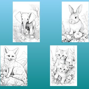 May include: A coloring book page featuring four black and white illustrations of animals: an elephant, a rabbit, a fox, and two kittens. The animals are surrounded by flowers and foliage.