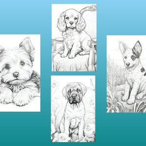 May include: A collection of four black and white line drawings of different dog breeds. The dogs are all depicted in a sitting position. The drawings are simple and elegant, and would be perfect for coloring.
