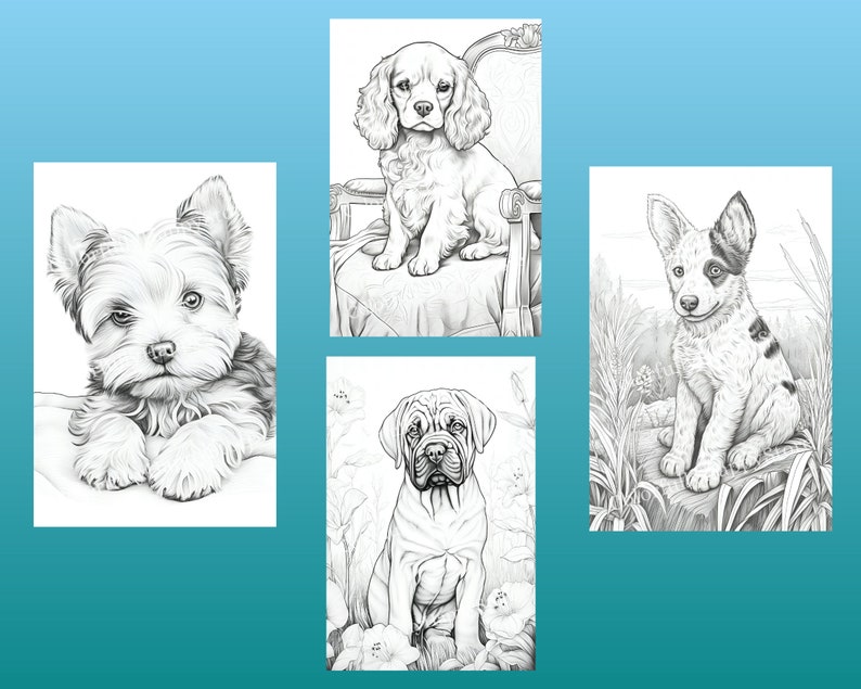 May include: A collection of four black and white line drawings of different dog breeds. The dogs are all depicted in a sitting position. The drawings are simple and elegant, and would be perfect for coloring.