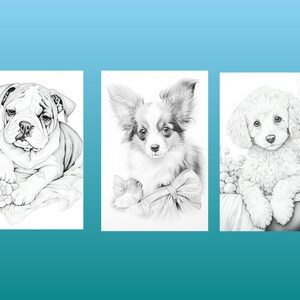 以下が含まれることがあります： 子犬の白黒鉛筆画が3つあります。最初の絵は、横になっているブルドッグの子犬です。2番目の絵は、リボンをつけて座っているパピヨンの子犬です。3番目の絵は、バスケットに座っているプードルの子犬です。