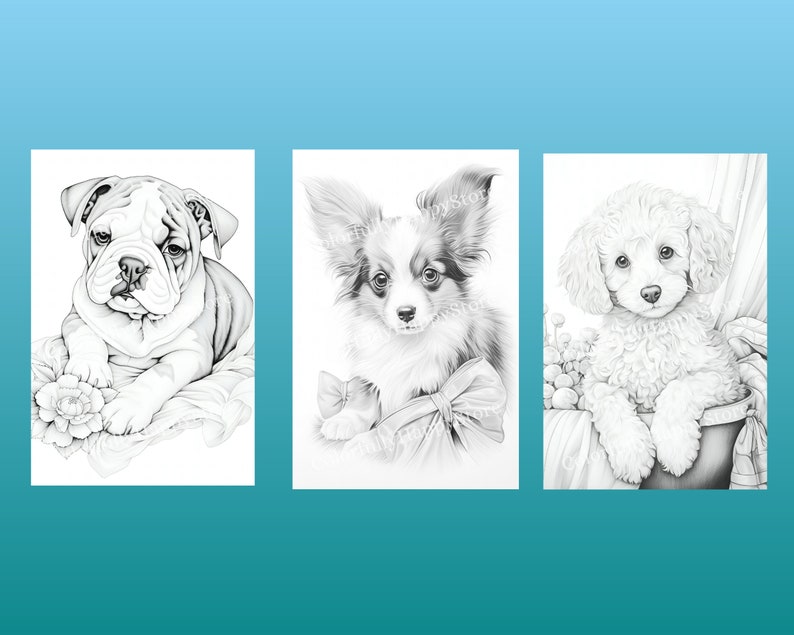 以下が含まれることがあります： 子犬の白黒鉛筆画が3つあります。最初の絵は、横になっているブルドッグの子犬です。2番目の絵は、リボンをつけて座っているパピヨンの子犬です。3番目の絵は、バスケットに座っているプードルの子犬です。