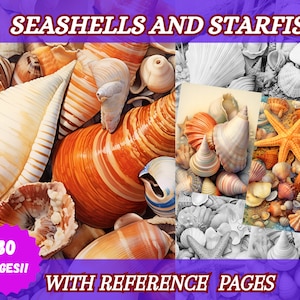 Seashells Starfish Coloring pages,  grayscale  coloring book, adult coloring pages,  instant download  coloring pages detailed, pdf download