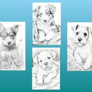 May include: Four black and white pencil drawings of puppies. Each puppy is in a different pose and has a different breed. The drawings are on a white background.
