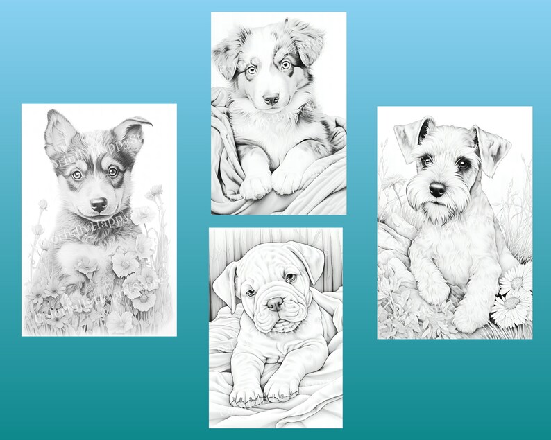 May include: Four black and white pencil drawings of puppies. Each puppy is in a different pose and has a different breed. The drawings are on a white background.