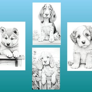 以下が含まれることがあります： 4匹の子犬の白黒鉛筆画。それぞれの絵は異なる犬種の子犬を描いています。子犬はすべて座ったり立ったりと様々なポーズをとっています。