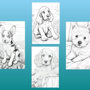 May include: Four black and white illustrations of dogs. The first image shows a small dog sitting on a log. The second image shows a large dog sitting in a field of flowers. The third image shows a small dog lying on a blanket. The fourth image shows a small dog sitting in a basket.