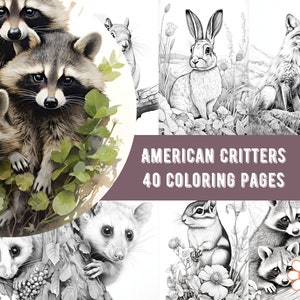 Animals coloring pages American Critters grayscale coloring sheets raccoons,  squirrels, possums, fox, printable coloring book