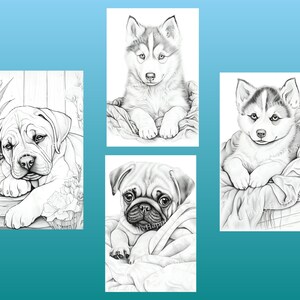 以下が含まれることがあります： 子犬の白黒イラストが4つあります。最初の画像は、横になっているブルドッグの子犬です。2番目の画像は、横になっているハスキーの子犬です。3番目の画像は、横になっているパグの子犬です。4番目の画像は、横になっているハスキーの子犬です。
