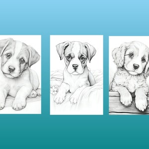 May include: Three black and white pencil drawings of puppies. The first puppy is a Jack Russell Terrier, the second puppy is a Boxer, and the third puppy is a Cocker Spaniel.