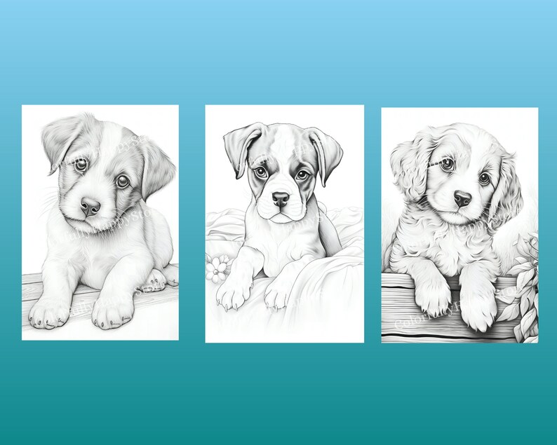 May include: Three black and white pencil drawings of puppies. The first puppy is a Jack Russell Terrier, the second puppy is a Boxer, and the third puppy is a Cocker Spaniel.