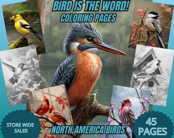 Birds coloring pages, book coloring grayscale, coloring realistic, adult coloring wildlife pages, animals coloring, realistic wildlife, pdf