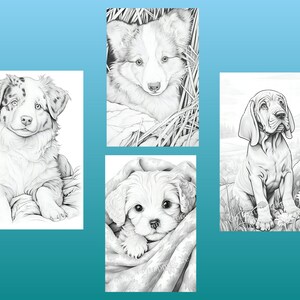 May include: Four black and white drawings of dogs. The first image shows a puppy with blue eyes and white fur with black markings. The second image shows a puppy with white fur and black markings. The third image shows a puppy with white fur and black markings. The fourth image shows a dog with brown fur and black markings.