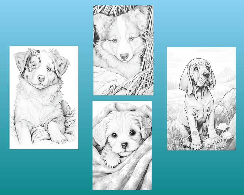 May include: Four black and white drawings of dogs. The first image shows a puppy with blue eyes and white fur with black markings. The second image shows a puppy with white fur and black markings. The third image shows a puppy with white fur and black markings. The fourth image shows a dog with brown fur and black markings.