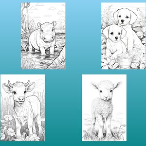 May include: Black and white line art coloring pages featuring a hippopotamus in water, a calf in a field, a lamb in a field, and two puppies in a garden.