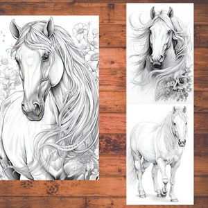 May include: A black and white pencil drawing of a horse's head with flowing mane and flowers in the background.