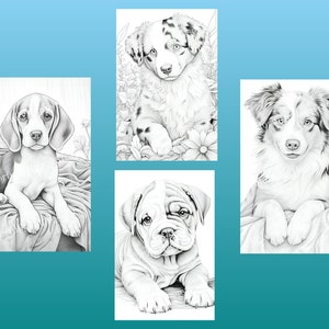 以下が含まれることがあります： 異なる犬種の白黒イラスト4点セット。イラストは写実的なスタイルで、犬は様々なポーズをとっています。犬はすべて子犬で、可愛くて遊び心のある表情をしています。