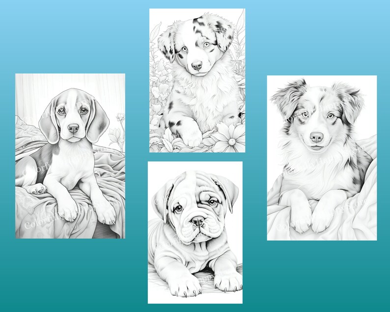 以下が含まれることがあります： 異なる犬種の白黒イラスト4点セット。イラストは写実的なスタイルで、犬は様々なポーズをとっています。犬はすべて子犬で、可愛くて遊び心のある表情をしています。