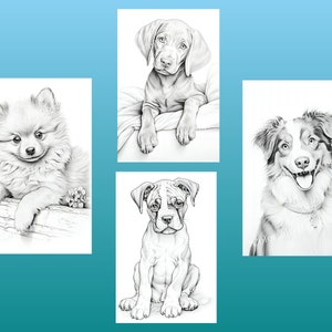 May include: Four black and white pencil drawings of dogs. The dogs are a Pomeranian, a German Shorthaired Pointer, a Boxer, and an Australian Shepherd.