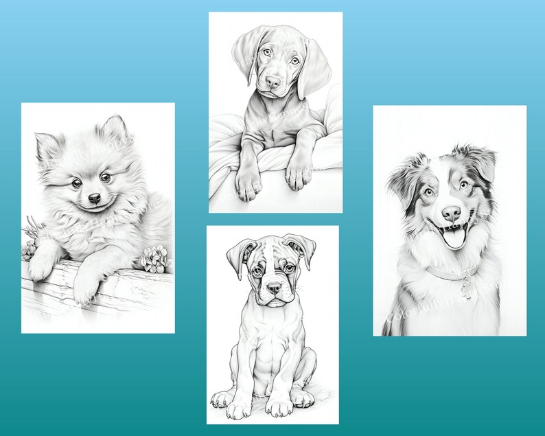 May include: Four black and white pencil drawings of dogs. The dogs are a Pomeranian, a German Shorthaired Pointer, a Boxer, and an Australian Shepherd.