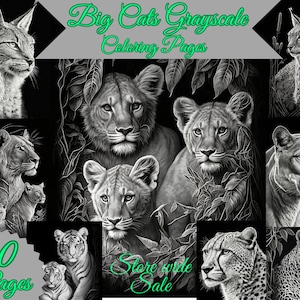 BigCats、グレースケールの塗り絵ページ、黒背景、大人向けの印刷可能な塗り絵、ライオンの塗り絵、猫の塗り絵、動物の野生動物