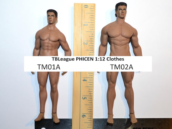 Phicen 2024 doll clothes