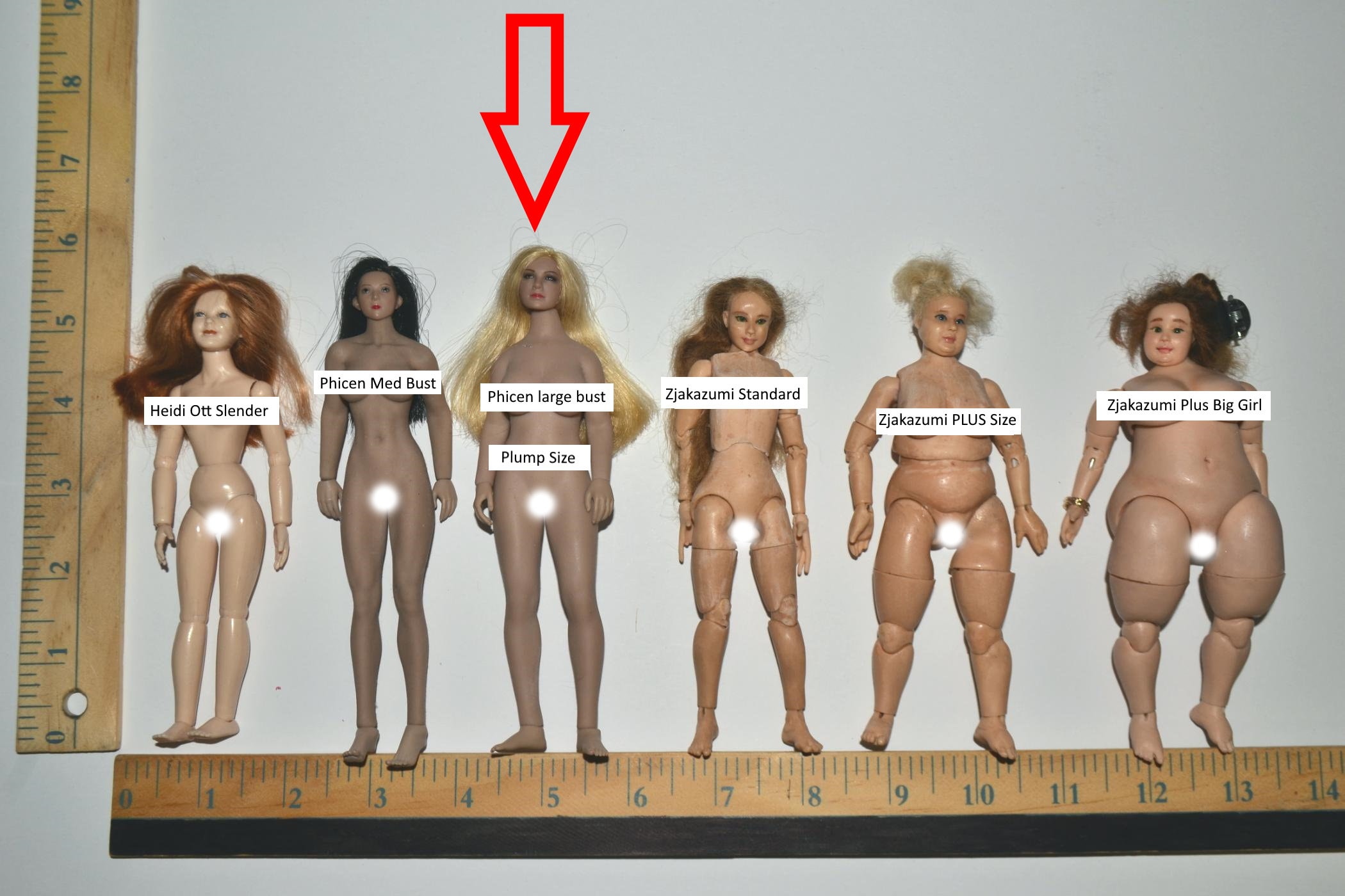 ＊tocodoll＊ Phicen/TBLeague S18A 用 ブラ&パンティ 淡ブルー×白 調節付き ファイセン 送料無料 : RoofWorld Phicen TBLeague 6 Inches Action Figure Full