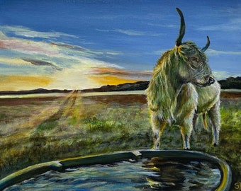 Cow in Field