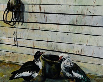 Ducks Drinking