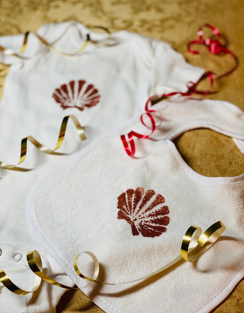 Scallop Shell SET