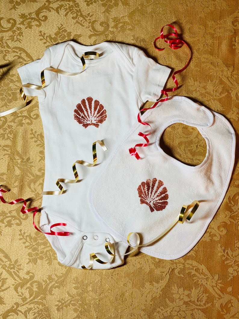 Scallop Shell SET