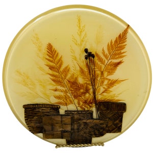Vintage Lucite Topfuntersetzer mit gewebten Körben Trockenblumen und Farnen