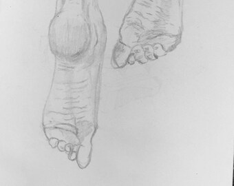 Point Point Point Those Toes