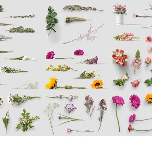 Może przedstawiać: Kolekcja r&oacute;żnych kwiat&oacute;w i zieleni, w tym r&oacute;żowe r&oacute;że, fioletowe stokrotki gerbera, ż&oacute;łte słoneczniki, białe stokrotki i zielone liście. Kwiaty są ułożone na r&oacute;żne sposoby, w tym bukiety, pojedyncze łodygi i gałązki.