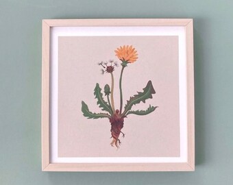 Ingelijste kunstdruk Paardebloem Bloem Muur Kunst Illustratie Botanische Natuur Plant Cadeau voor haar Hem Vriendin Vrouw Gezellige Lente Home Decor