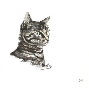Drawing with frame - Numbered print - Naughty cat