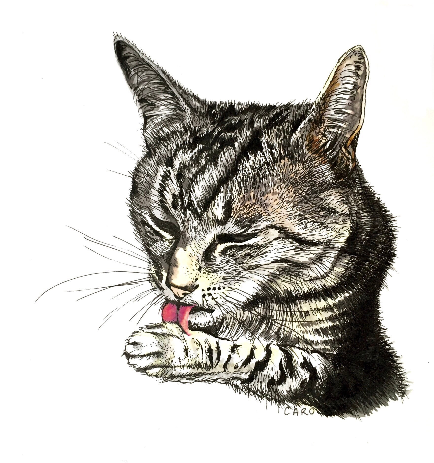 Dessin Avec Cadre Tirage Numerote Langue Au Chat Etsy France