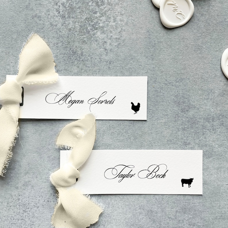 minimalist wedding placecards with meal choice, simple place setting name cards with meal icon, paper place cards calligraphy, with ribbon image 1