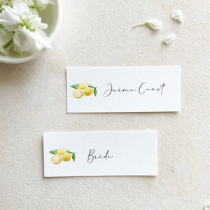 lemon place cards bridal shower, main squeeze bridal shower tag, amalfi themed place cards printed, mediterranean place cards with meal